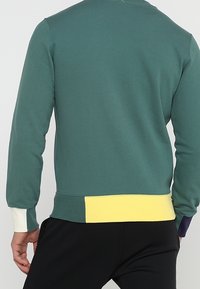 Felpa verde con maniche lunghe, texture a coste. Il bordo presenta un color block con accenti gialli e viola. Design classico con collo rotondo.