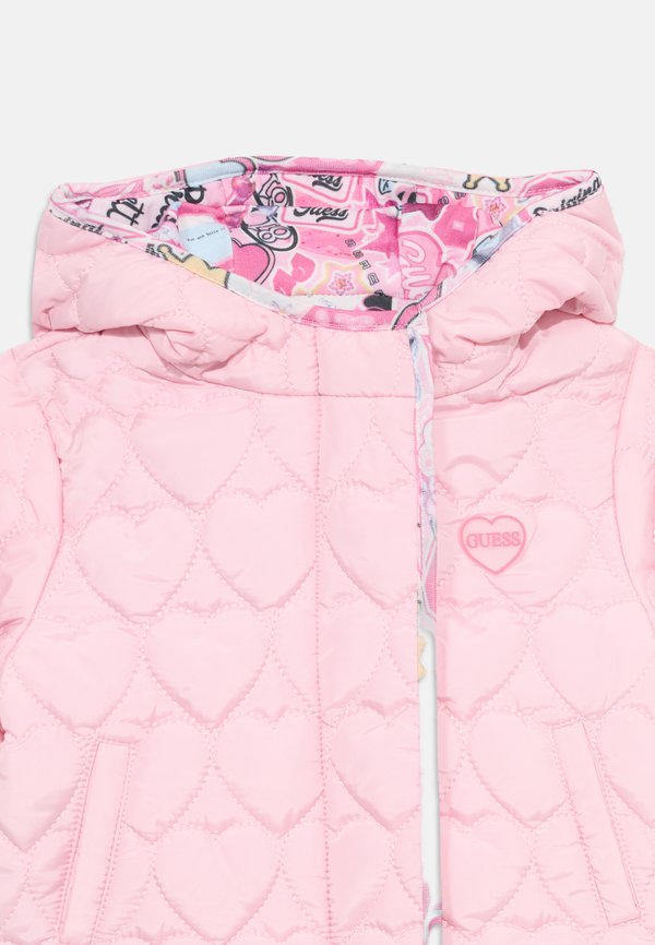 PADDED HOODED JACKET ZIP - Winter jacket2