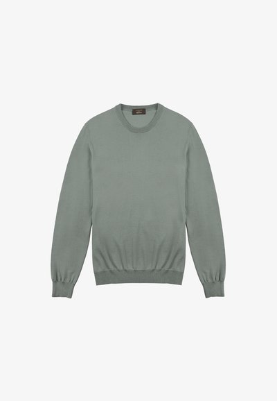 Hellegrüner Strickpullover mit Rundhalsausschnitt, langen Ärmeln und gerippten Bündchen sowie Saum. Glatte Textur ohne sichtbare Muster oder Akzente.