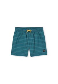 O'Neill - CALI  - Badeshorts - pad first name stripe Thumbnail-Bild 1