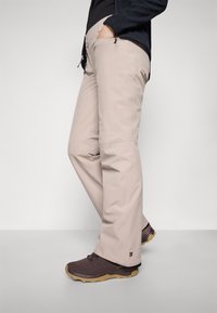 Salomon EDGE PANT - Slēpošanas bikses - etherea