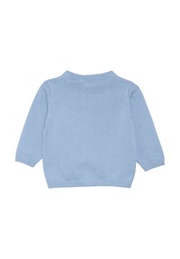 Ljusblå stickad tröja med rund halsringning, långa ärmar och en texturerad yta. Baksidan är enkel utan ytterligare detaljer.