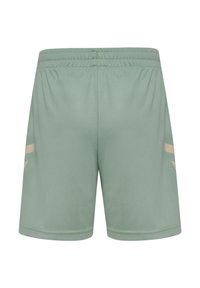 Ljusgröna träningsshorts med elastisk midjeband. Har beige detaljer och ett mjukt, texturerat tyg. Inga fickor.