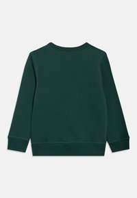 Felpa verde scuro a maniche lunghe con collo rotondo, polsini e orlo a costine, mostrata da dietro su sfondo bianco.