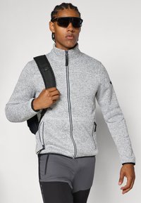 Icepeak ADRIAN - Sudadera con cremallera - light grey
