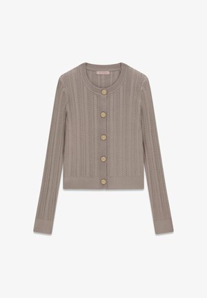 Guess, LS CN CARMEN CARDI SWTR - Cardigan - beige