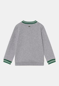 Felpa grigia con maniche lunghe, caratterizzata da un colletto e polsini a coste a strisce verdi e bianche, piccolo logo sul retro. Texture morbida.