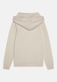 Sudadera beige con una gran capucha, mangas largas, puños y dobladillo acanalados. Fabricada en un tejido suave, presenta un diseño simple y limpio. Sin gráficos ni patrones.