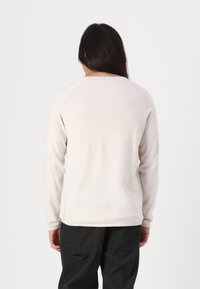 Helles beiges Langarmpullover mit glatter Textur, Raglanärmeln und rundem Ausschnitt, der ein einfaches, minimalistisches Design aufweist.