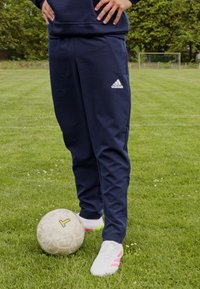 Pantalones deportivos azul marino con el logo blanco de Adidas, combinados con zapatos blancos con rayas rosas, de pie junto a un balón de fútbol sobre la hierba.