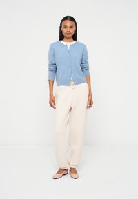 Svetlomodrý zapínací kardigán, krémové nohavice so sťahovaním na šnúrku a bledoružové baleríny. Jemná textúra a voľný strih. Modelka stojí pred jednoduchým pozadím.