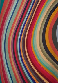 Bandes courbes concentriques de différentes couleurs, notamment rouge, bleu, orange, beige et vert, créant un motif vibrant et abstrait.