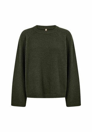 Dunkelgrüner Strickpullover mit langen Ärmeln und rundem Halsausschnitt auf weißem Hintergrund.