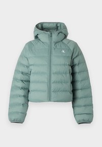 LIGHTWEIGHT QUILTED JACKET PACKA - Jas - autumn green