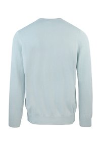 Maglione di cotone azzurro chiaro con colletto rotondo, maniche lunghe, polsini e vita a coste. Texture liscia e design semplice senza fantasie.
