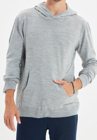 Trendyol Kapuzenpullover - grey