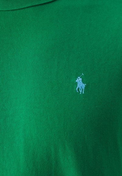 Polo Ralph Lauren CLASSIC FIT HEAVYWEIGHT JERSEY T-SHIRT - Pamata T-krekls - kayak green