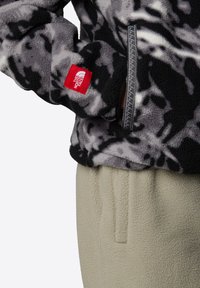 The North Face TNF FLEESKI - Felpa in pile - tnf black summit mes