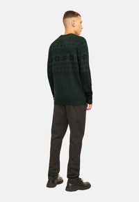 Green knit sweater with black geometric patterns, crew neck, and ribbed cuffs, paired with gray trousers and black shoes. Viewed from the back.