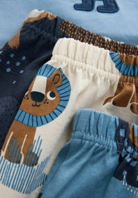 Drie paar kinder shorts met elastische tailles. Voorzien van speelse dierenpatronen, waaronder een beer en een leeuw, in blauwe en beige tinten.