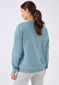 Felpa azzurro chiaro realizzata in tessuto morbido, con colletto rotondo e maniche lunghe. Il retro è semplice con una vestibilità leggermente rilassata.