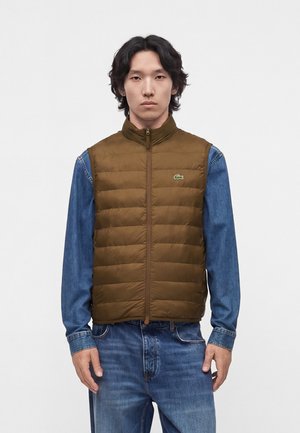 Lacoste, Bodywarmer - mascara brown