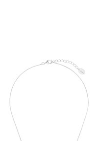 Collana d'argento con una fine catena, caratterizzata da un gancio a moschettone e una catena di estensione. Texture liscia e design minimalista.