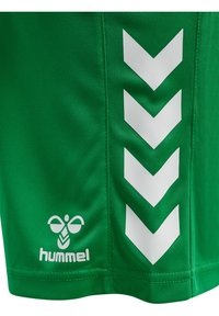 Gröna sportshorts med en slät textur, med vita chevronmönster på sidan och en liten vit logotyp.