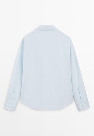 Hellblaues langärmliges Hemd mit Kragen und geknöpften Manschetten, von hinten auf weißem Hintergrund gezeigt.