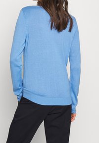 Hellblau gestrickter Pullover mit langen Ärmeln, gerippten Bündchen und Saum, der ein einfaches Design und eine glatte Textur aufweist. Rückansicht dargestellt.