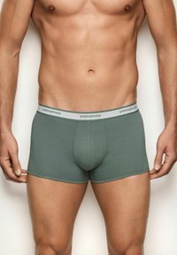 Boxer briefs verdes hechos de tela suave, con una cinturilla blanca de marca y un diseño ajustado con una textura lisa y costuras mínimas.