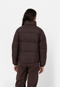 Dickies Zimní bunda - dark brown