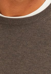 Bläck Strickpullover - brown