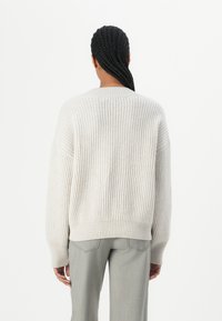 DRYKORN PASELIA - Pulover - grey