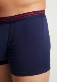 Boxerské šortky ve tmavě námořnické tkanině. Vybaveny elastickým pásem s červenými pruhy a značkou. Hladká textura a přiléhavý design.