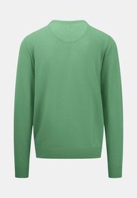 Maglione verde con maniche lunghe, colletto rotondo e polsini e orlo a costine. Texture liscia, colore uniforme e design semplice.