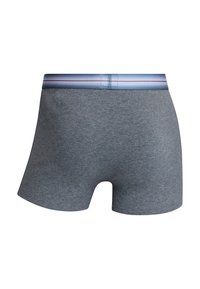 Grijze katoenen boxershorts met een zachte tailleband, voorzien van horizontale blauwe en lichtgrijze strepen, ontworpen voor comfort en pasvorm.