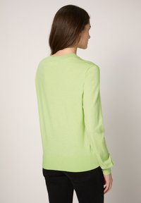 Maglione verde chiaro a maniche lunghe con scollo tondo, polsini e orlo a coste. Tessuto morbido con vestibilità rilassata; senza motivi o accessori visibili.
