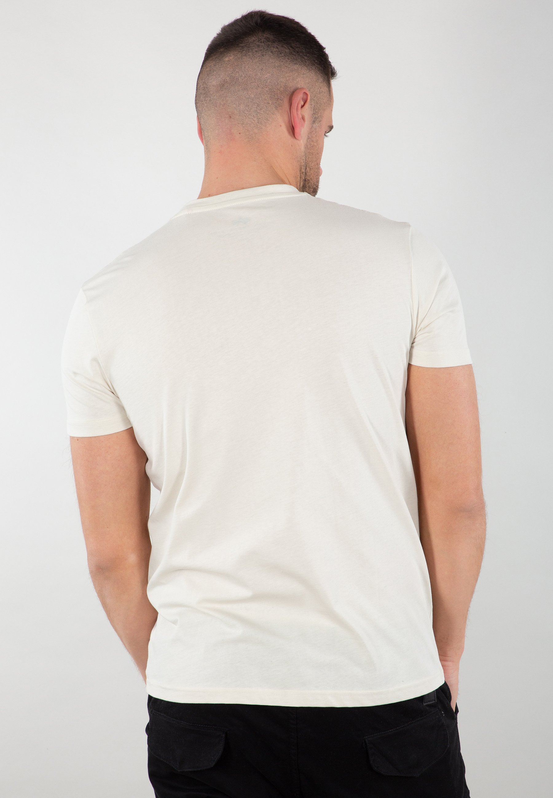 Alpha Industries T-Shirt print - jet stream white/weiß - Zalando
