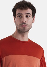 T-shirt color ruggine con colletto rotondo e una striscia orizzontale più chiara in contrasto sul petto. Tessuto liscio, vestibilità regolare.