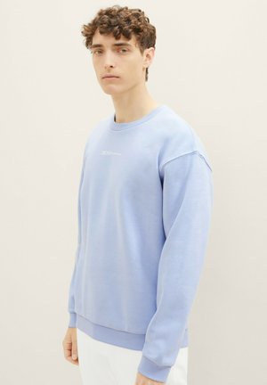Lichtblauwe sweatshirt met een ronde hals en lange mouwen. Bevat een klein wit tekstlogo op de voorkant. Zachte stofstructuur.