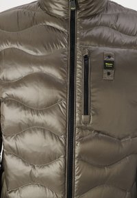 Blauer DANIEL - Dunjakker - olive