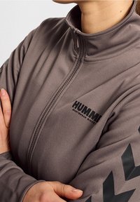 Gray athletic jacket made of smooth fabric, featuring a high collar, full zipper, and a black logo on the chest with contrasting chevron patterns on sleeves.