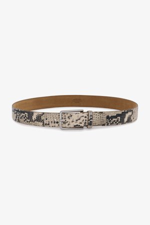 Pruunide ja mustade maodranekujulise tekstuuriga nahkvöö hõbedase ristküliku kujulise pandla ja mitme reguleerimishauguga.