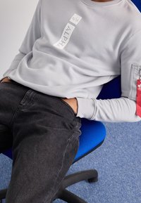 Alpha Industries Sudadera - light grey