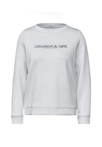 Lichtgrijze sweatshirt met een ronde halslijn en lange mouwen. Heeft de tekst "COLORFUL LIFE" in decoratieve letters gedrukt op de borst.
