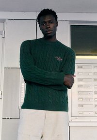 Carhartt WIP SIGNATURE - Camisola - sycamore tree/dusty rose