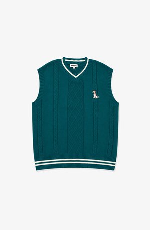 Kaotiko, ARANES DOG VEST - Jumper - green