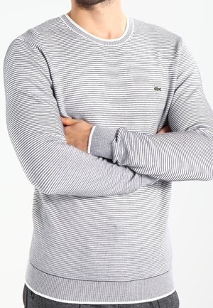 Stribet langærmet sweater i marineblå og hvid, med rund hals, ribbede manchetter og et lille grønt logo på venstre bryst.