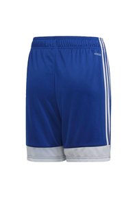 adidas Performance Pantalón corto de deporte - blue